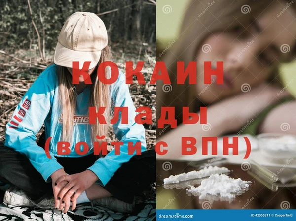 тгк Вяземский